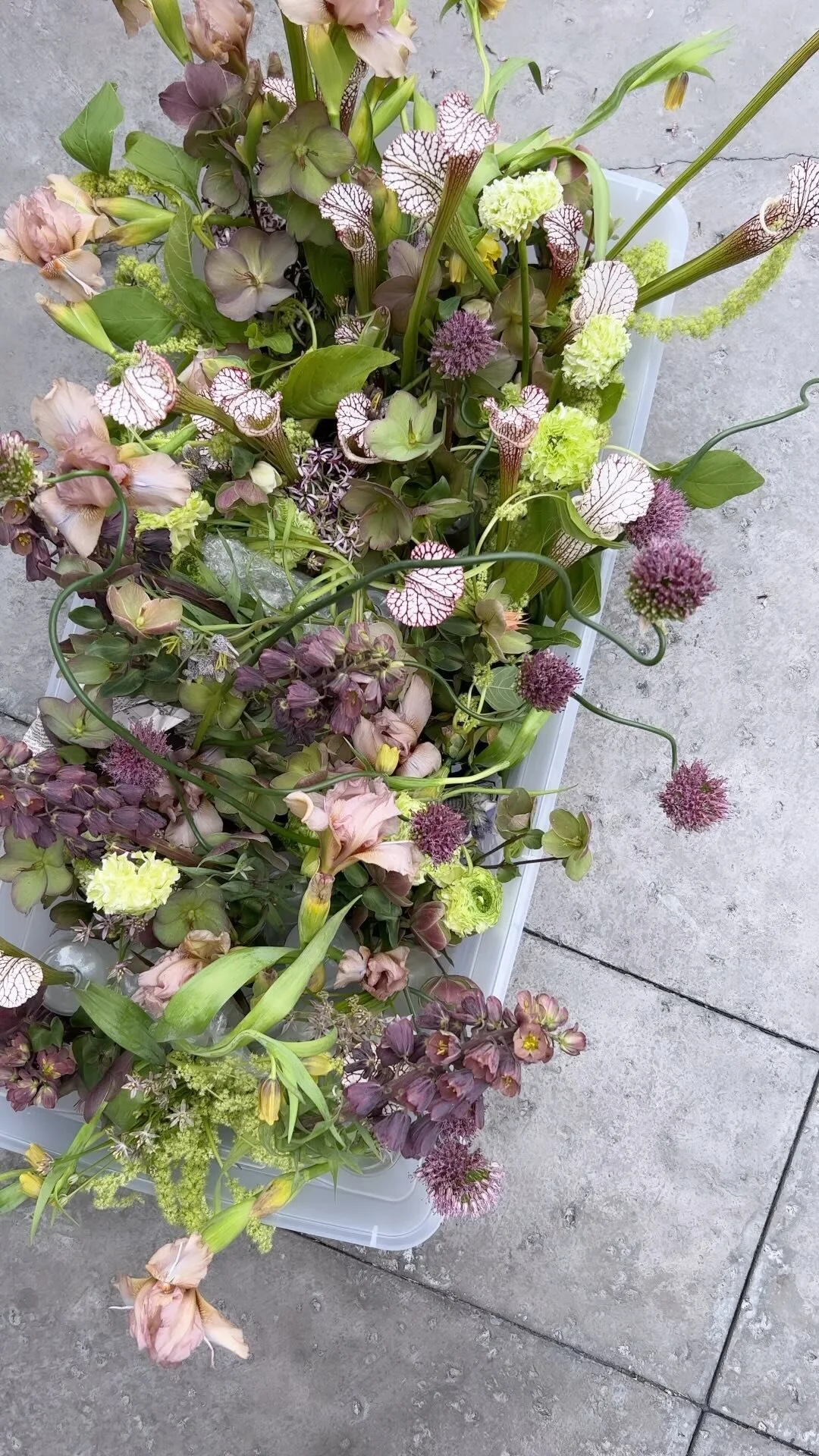Wall-mounted floral arrangement with trailing blooms