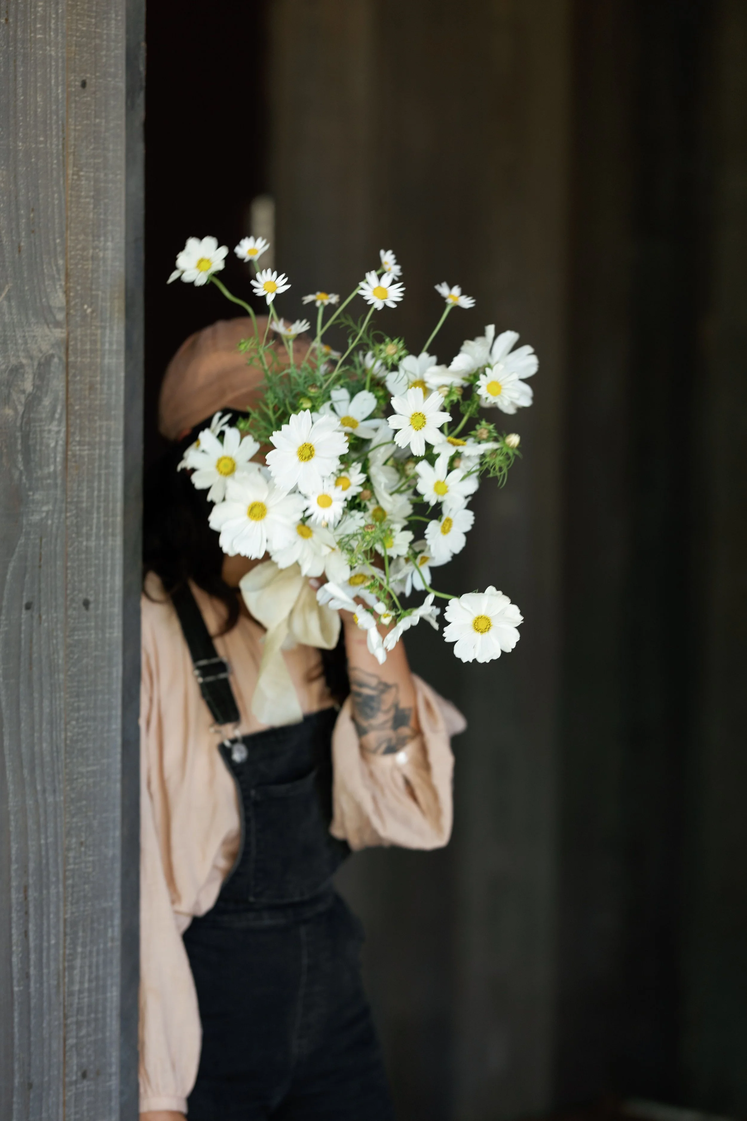 Hand-gathered bunch of fresh daisies